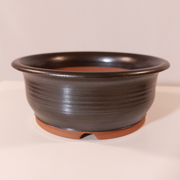RGM-0005: Bonsai Schaöe ca. 16x6 cm 