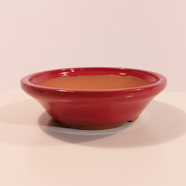 RGM-0022: Bonsaischale ca. 15x4 cm  (1)